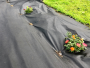 WEEDKILLER 120 GRAM 1X15M OGRÄSDUK