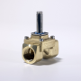 EV250BW NC MAGNETVEN TIL G 1   DN25