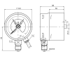 SIGNALMANOMETER R10 0-6 BAR