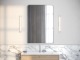 BADRUMSSPEGEL DUCENT IC - LARGE